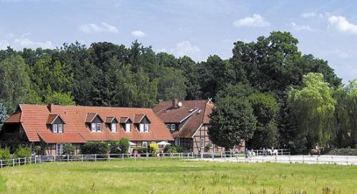 Heidehotel Gut Landliebe 헤르만스부르크 외부 사진