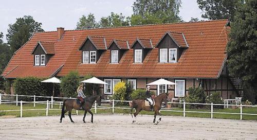Heidehotel Gut Landliebe 헤르만스부르크 외부 사진